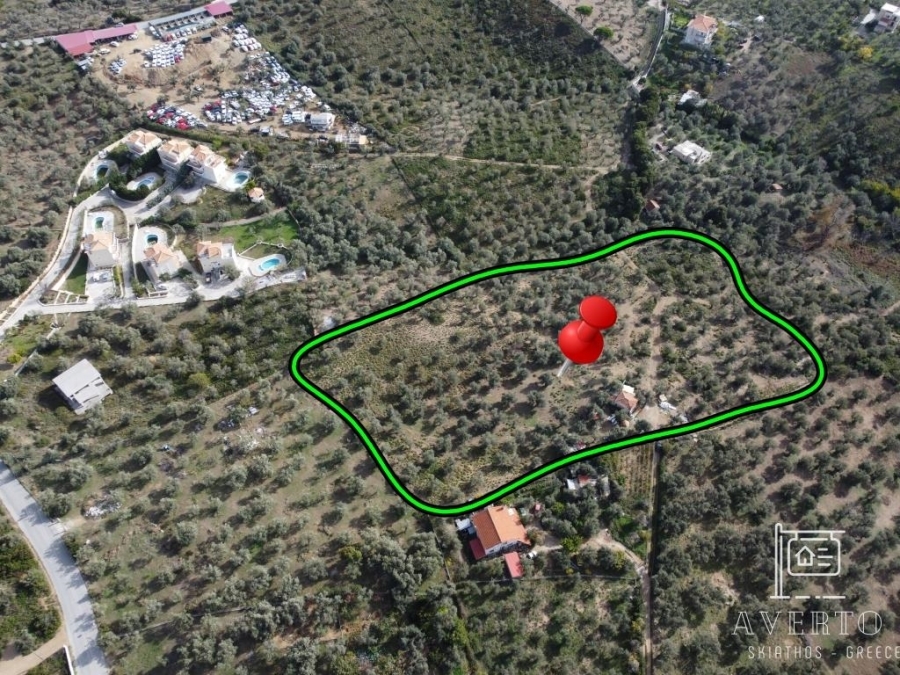 (For Sale) Land Agricultural Land  || Magnisia/Sporades-Skiathos - 13.500 Sq.m, 250.000€ 