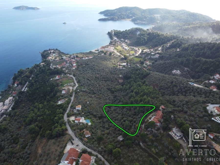 (For Sale) Land Agricultural Land  || Magnisia/Sporades-Skiathos - 5.335 Sq.m, 200.000€ 