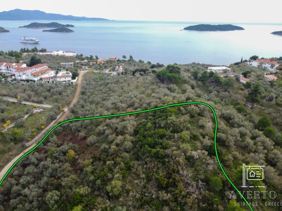 (For Sale) Land Agricultural Land  || Magnisia/Sporades-Skiathos - 9.150 Sq.m, 400.000€ 