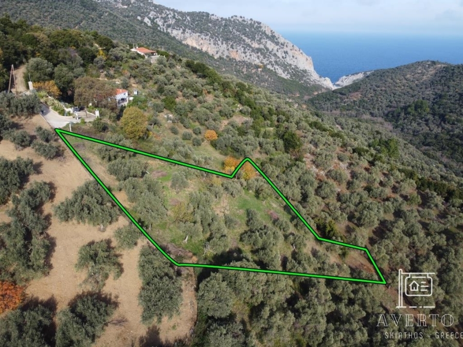 (For Sale) Land Agricultural Land  || Magnisia/Sporades-Skiathos - 2.879 Sq.m, 52.000€ 