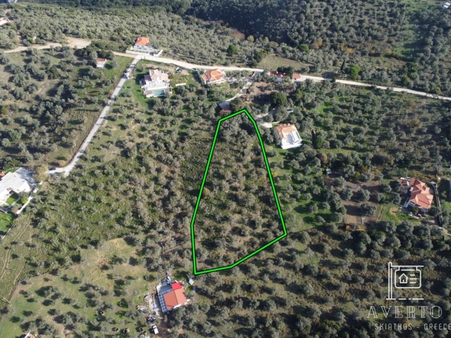 (For Sale) Land Agricultural Land  || Magnisia/Sporades-Skiathos - 4.221 Sq.m, 75.000€ 