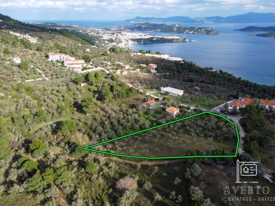 (For Sale) Land Agricultural Land  || Magnisia/Sporades-Skiathos - 4.699 Sq.m, 180.000€ 