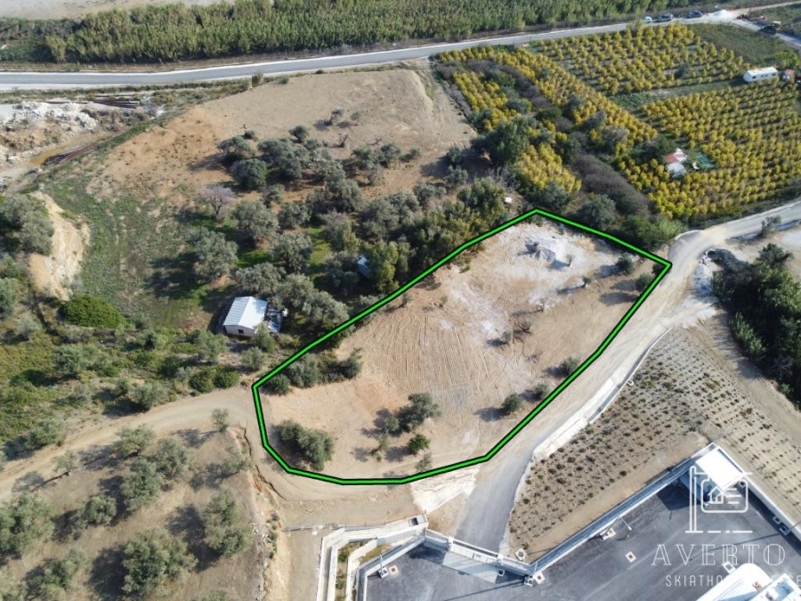 (For Sale) Land Agricultural Land  || Magnisia/Sporades-Skiathos - 2.420 Sq.m, 60.000€ 