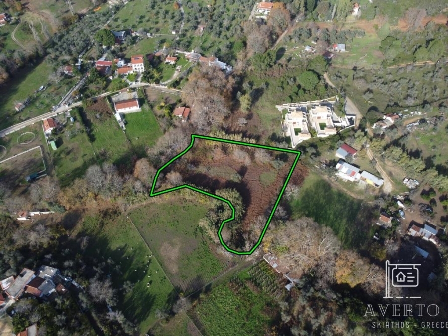 (For Sale) Land Agricultural Land  || Magnisia/Sporades-Skiathos - 4.123 Sq.m, 55.000€ 