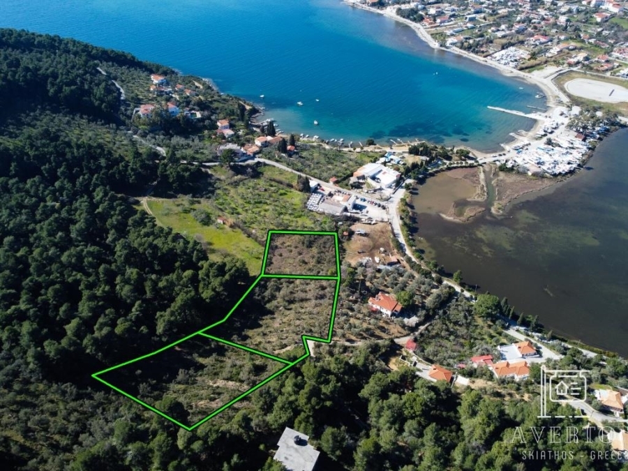 (For Sale) Land Agricultural Land  || Magnisia/Sporades-Skiathos - 11.400 Sq.m, 400.000€ 