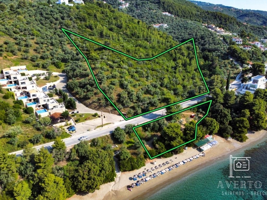 (For Sale) Land Plot || Magnisia/Sporades-Skiathos - 17.000 Sq.m, 1.800.000€ 