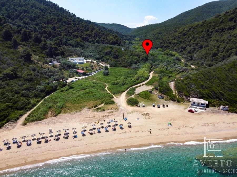 (For Sale) Land Agricultural Land  || Magnisia/Sporades-Skiathos - 7.500 Sq.m, 230.000€ 