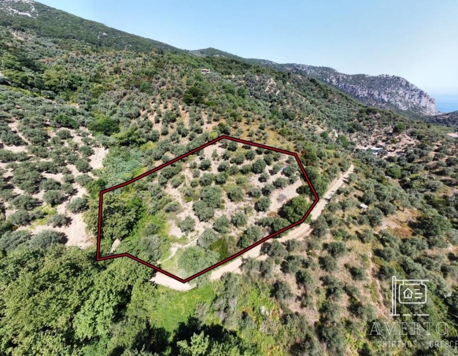 (Προς Πώληση) Αξιοποιήσιμη Γη Αγροτεμάχιο || Ν. Μαγνησίας/Σποράδες-Σκιάθος - 5.827 τ.μ, 230.000€ 