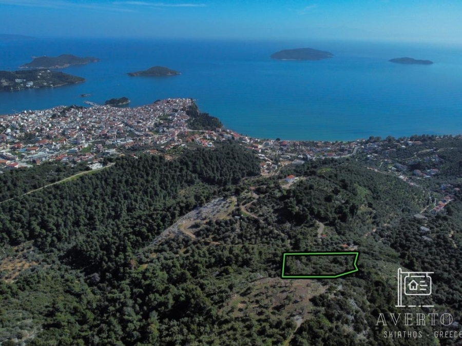 (For Sale) Land Agricultural Land  || Magnisia/Sporades-Skiathos - 4.046 Sq.m, 240.000€ 