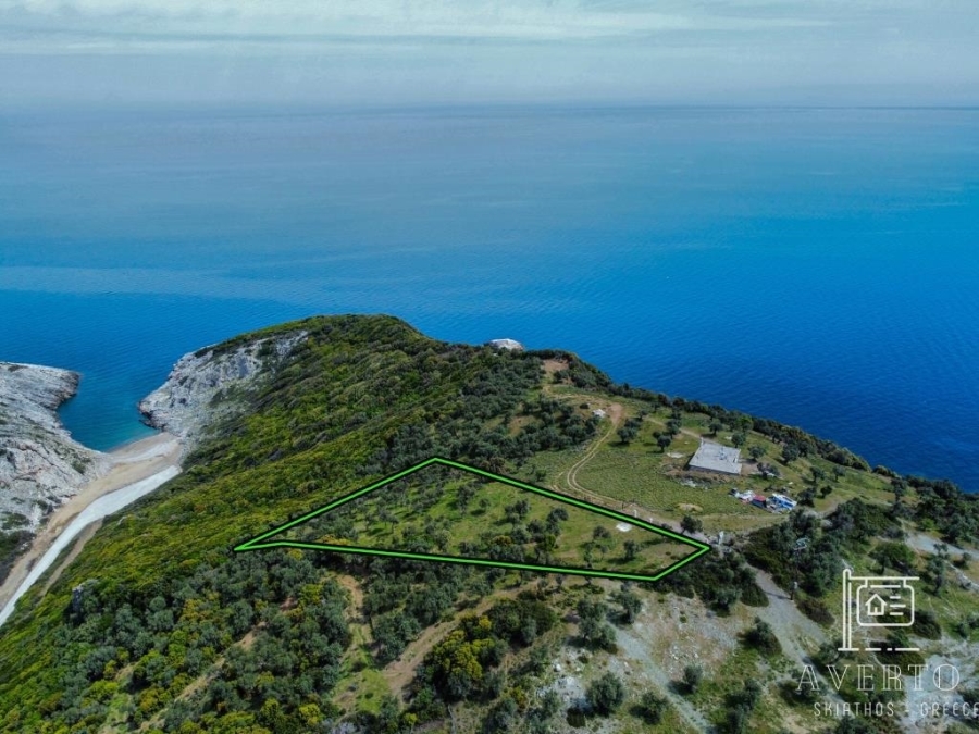 (For Sale) Land Agricultural Land  || Magnisia/Sporades-Skiathos - 5.300 Sq.m, 320.000€ 