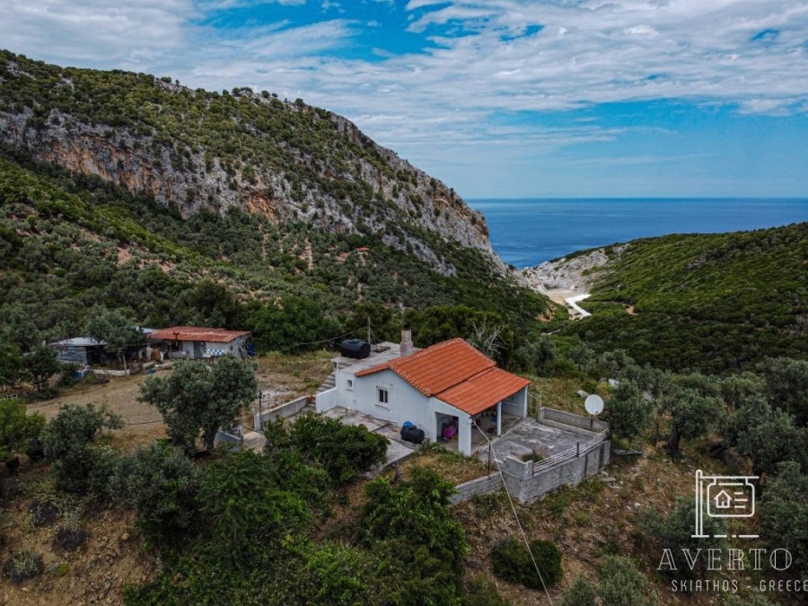 (For Sale) Residential Detached house || Magnisia/Sporades-Skiathos - 60 Sq.m, 210.000€ 