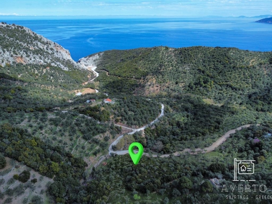 (Προς Πώληση) Αξιοποιήσιμη Γη Αγροτεμάχιο || Ν. Μαγνησίας/Σποράδες-Σκιάθος - 8.956 τ.μ, 150.000€ 