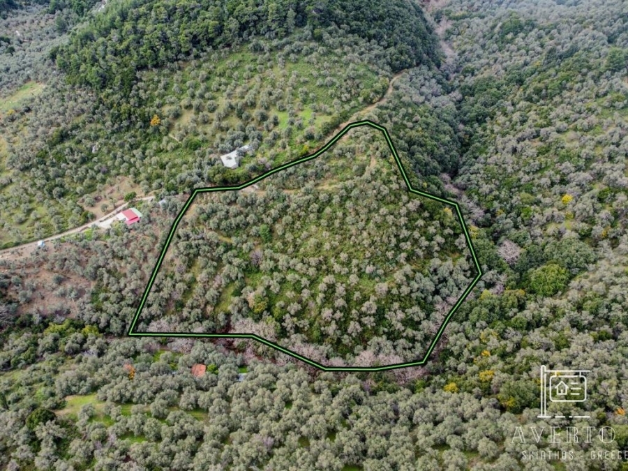 (Προς Πώληση) Αξιοποιήσιμη Γη Αγροτεμάχιο || Ν. Μαγνησίας/Σποράδες-Σκιάθος - 11.470 τ.μ, 180.000€ 
